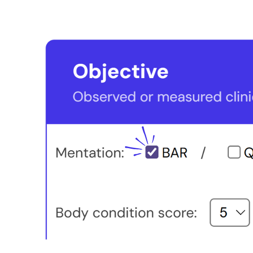 Include context by filling out the SOAP sections in real time during the session